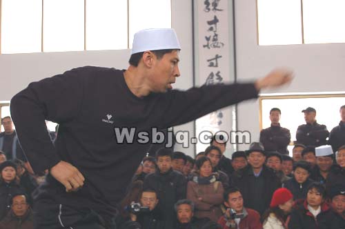 中华武术八极拳