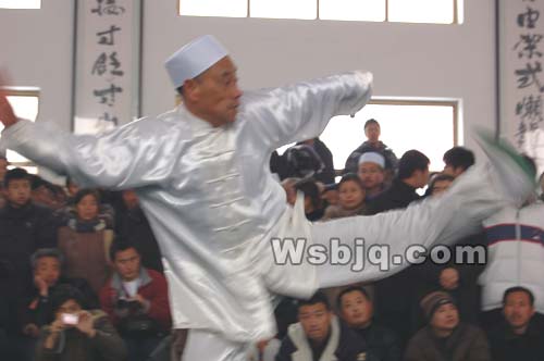 中华武术八极拳