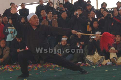 中华武术八极拳