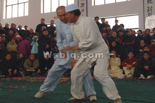 中华武术八极拳