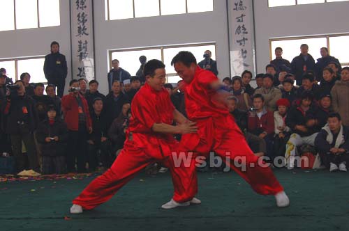 中华武术八极拳