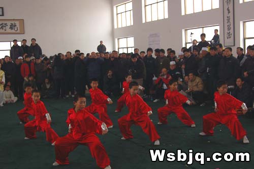 中华武术八极拳