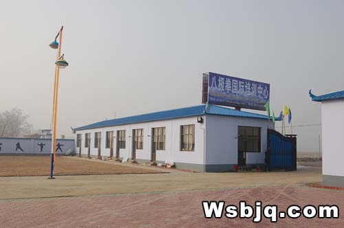 中华武术八极拳