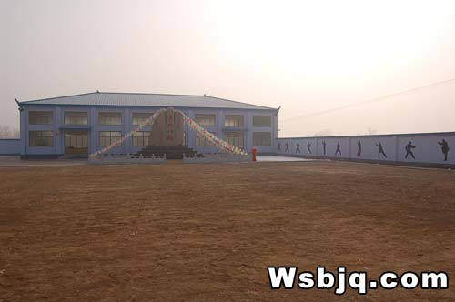 中华武术八极拳