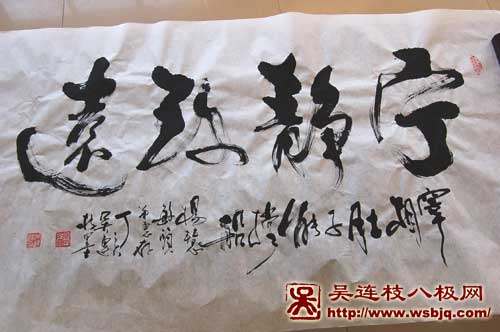 中华武术八极拳