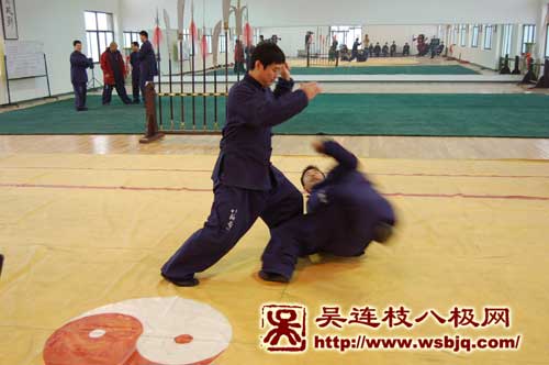 中华武术八极拳