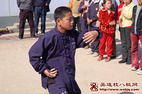 中华武术八极拳