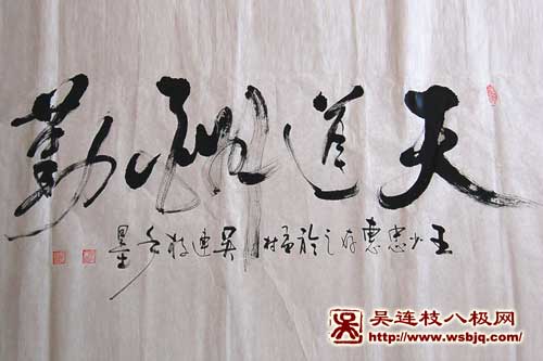 中华武术八极拳