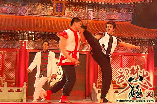 中华武术八极拳