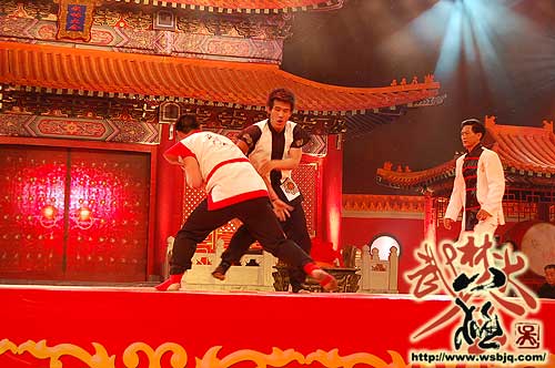 中华武术八极拳