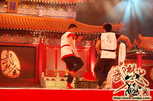 中华武术八极拳