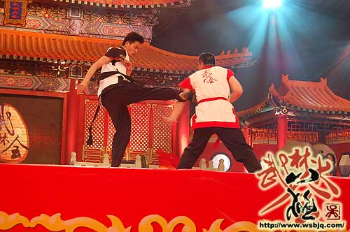 中华武术八极拳