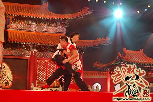 中华武术八极拳