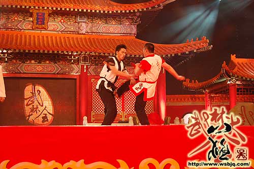 中华武术八极拳