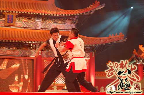 中华武术八极拳