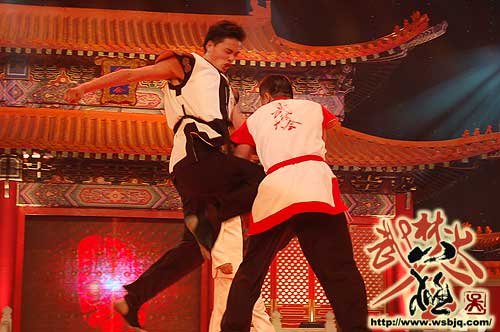 中华武术八极拳