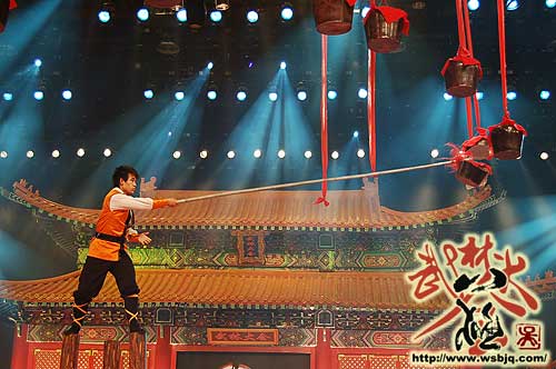 中华武术八极拳