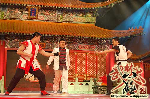 中华武术八极拳