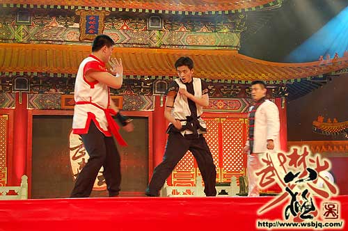 中华武术八极拳