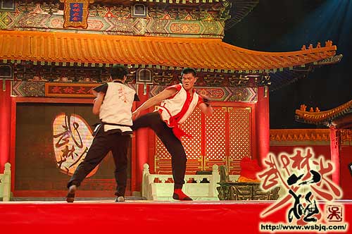 中华武术八极拳