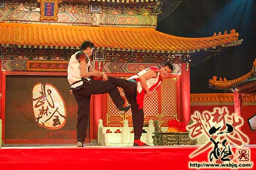 中华武术八极拳