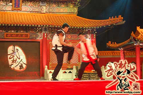 中华武术八极拳