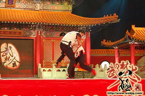 中华武术八极拳