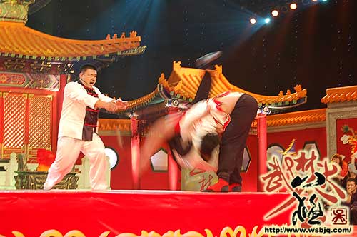 中华武术八极拳