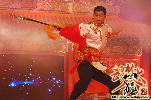 中华武术八极拳