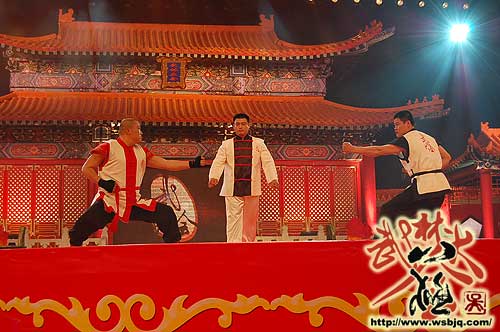 中华武术八极拳