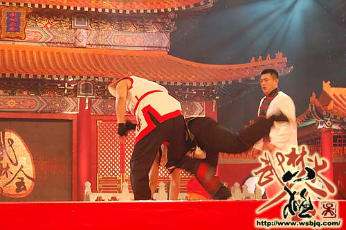 中华武术八极拳