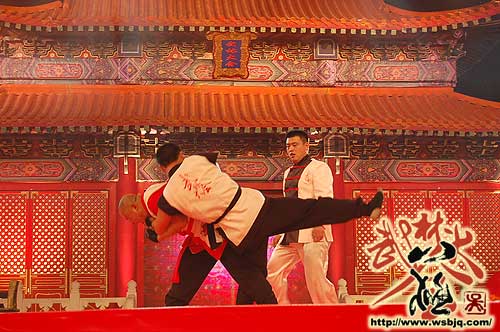 中华武术八极拳