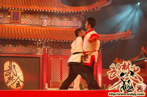 中华武术八极拳