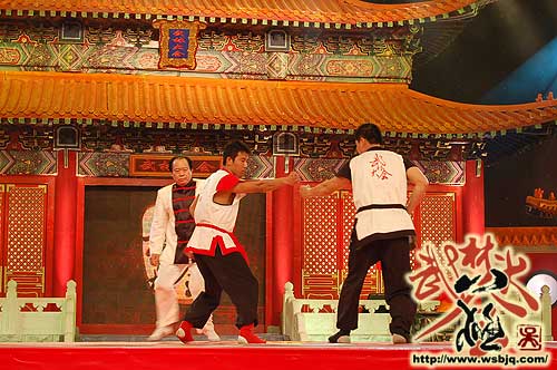 中华武术八极拳