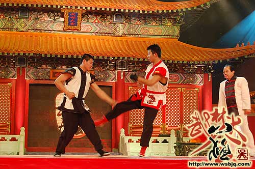 中华武术八极拳