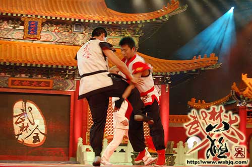 中华武术八极拳