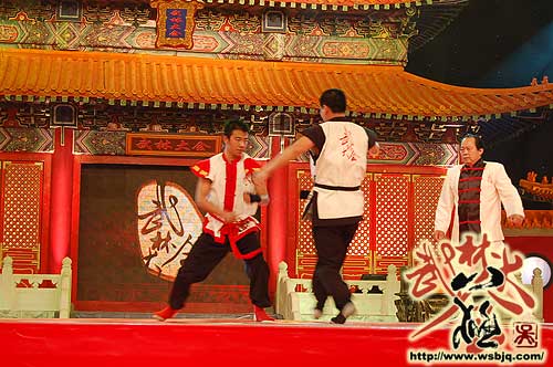 中华武术八极拳