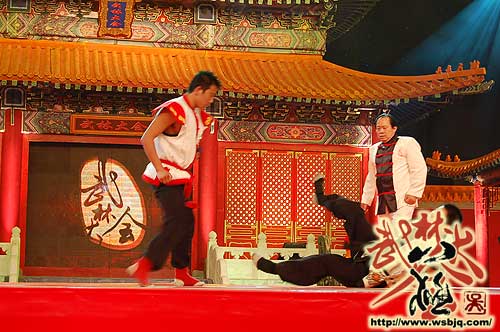 中华武术八极拳