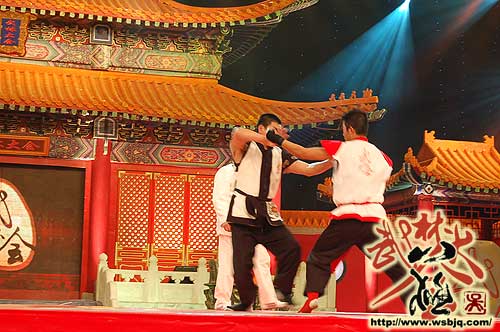 中华武术八极拳