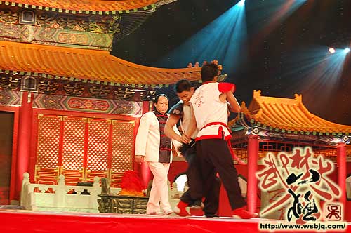 中华武术八极拳