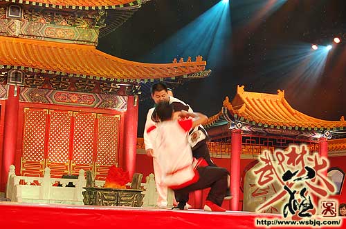 中华武术八极拳