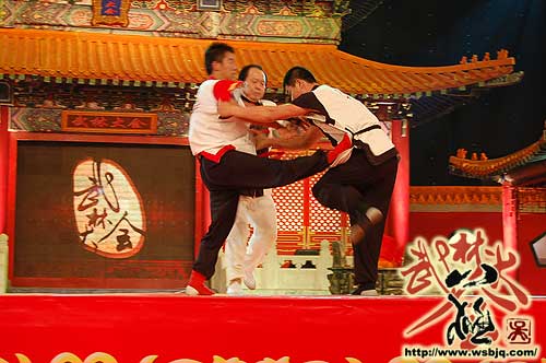 中华武术八极拳