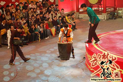 中华武术八极拳