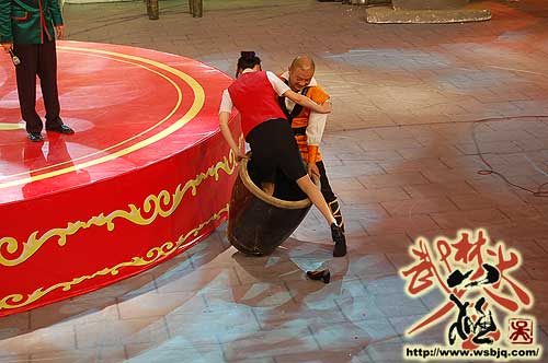 中华武术八极拳