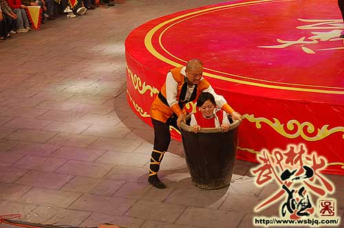 中华武术八极拳