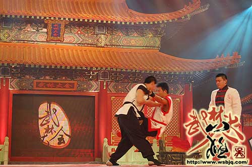 中华武术八极拳