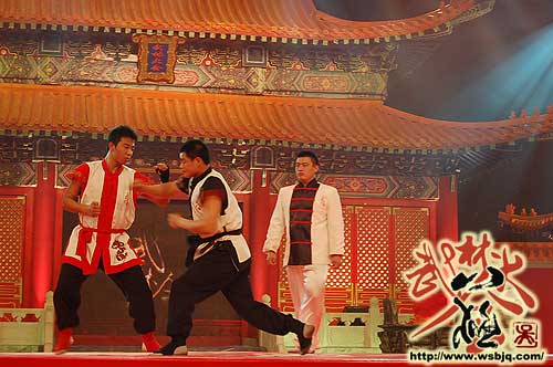 中华武术八极拳