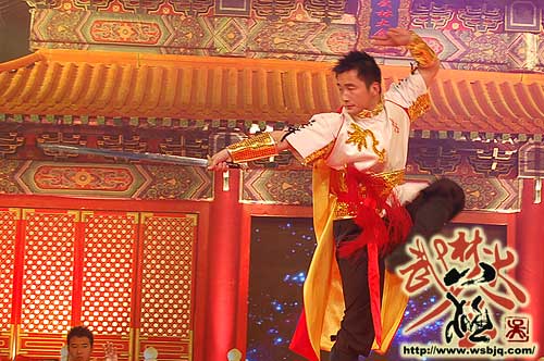 中华武术八极拳