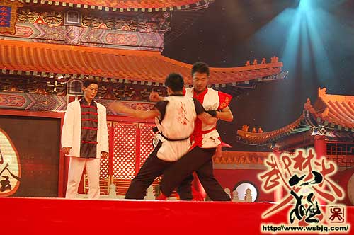 中华武术八极拳