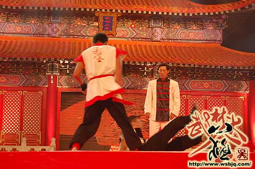 中华武术八极拳